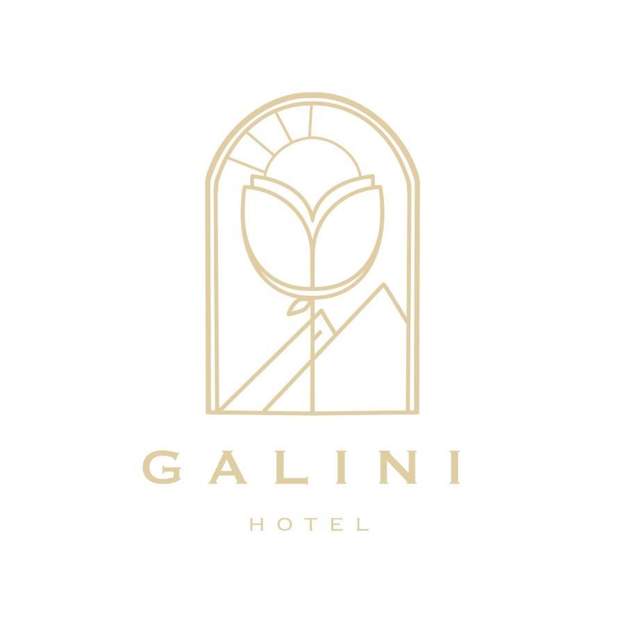 Galini Hotel Agios Ioannis Pelion 外观 照片